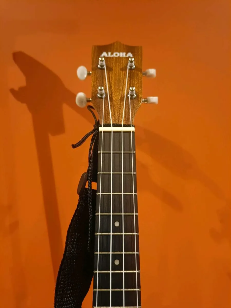 Ukulele Concert + Beginners Course + Accessories - Image 4