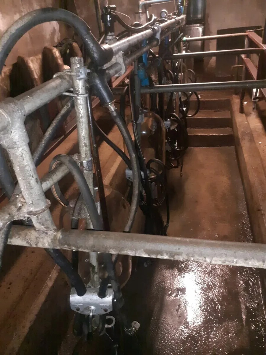 5 unit Milking parlour - Image 2