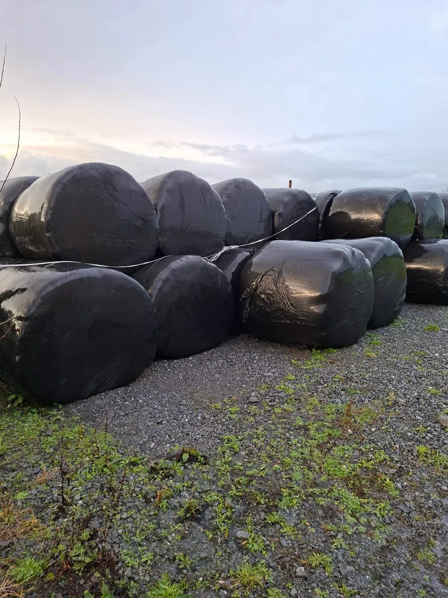 Top quality silage (certified organic)