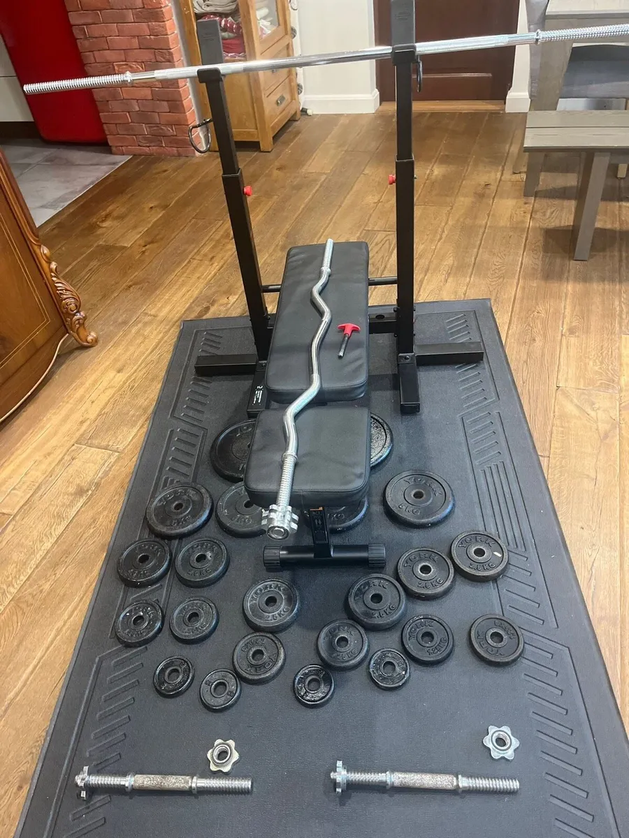Bench, two barbells dumbbells and weights - Image 1