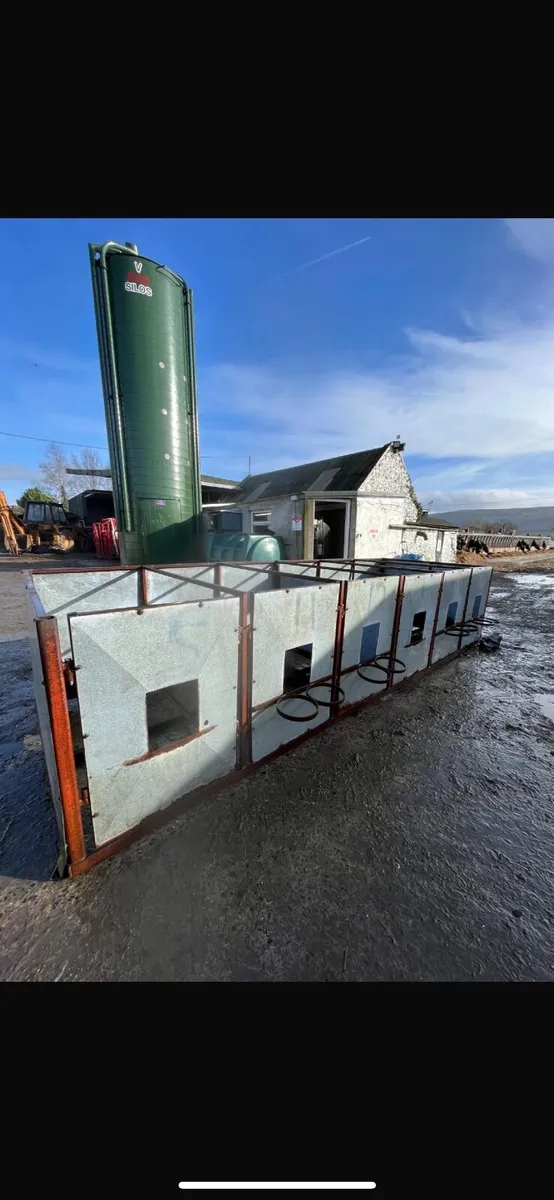 12 Calf Pens - Image 1