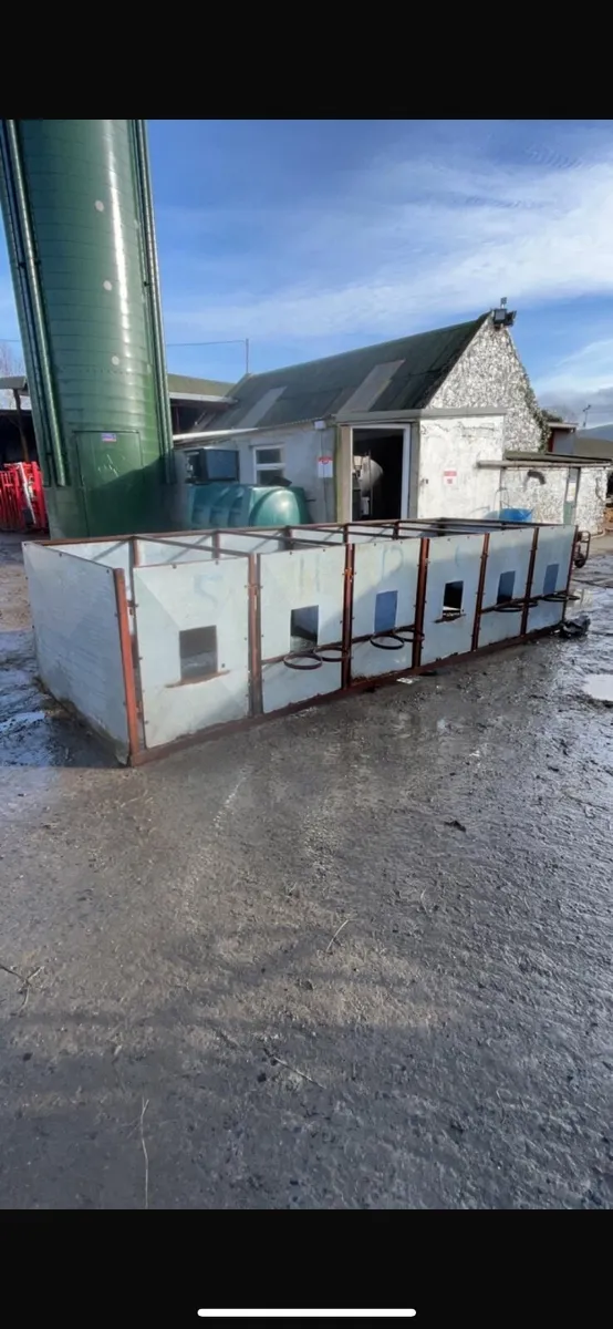 12 Calf Pens - Image 4