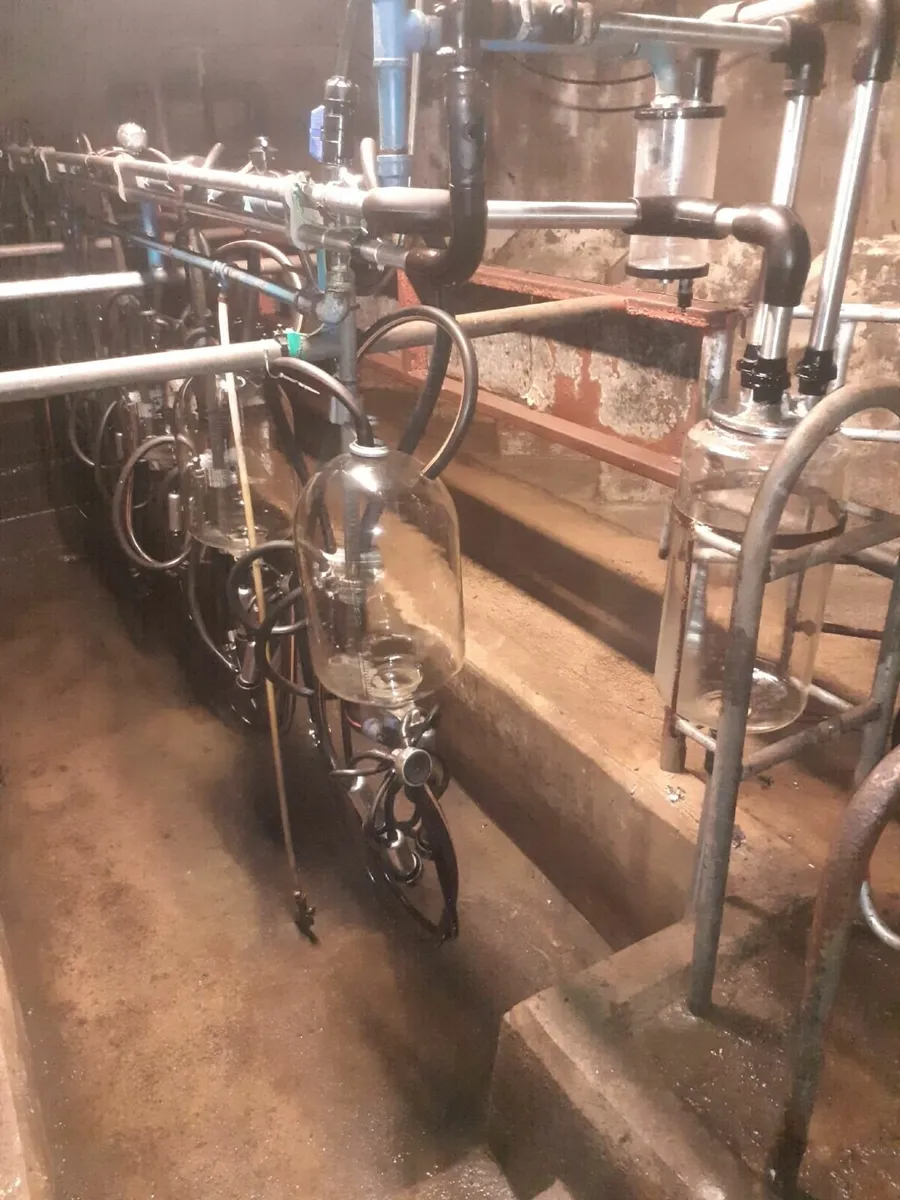 5 unit Milking parlour - Image 3