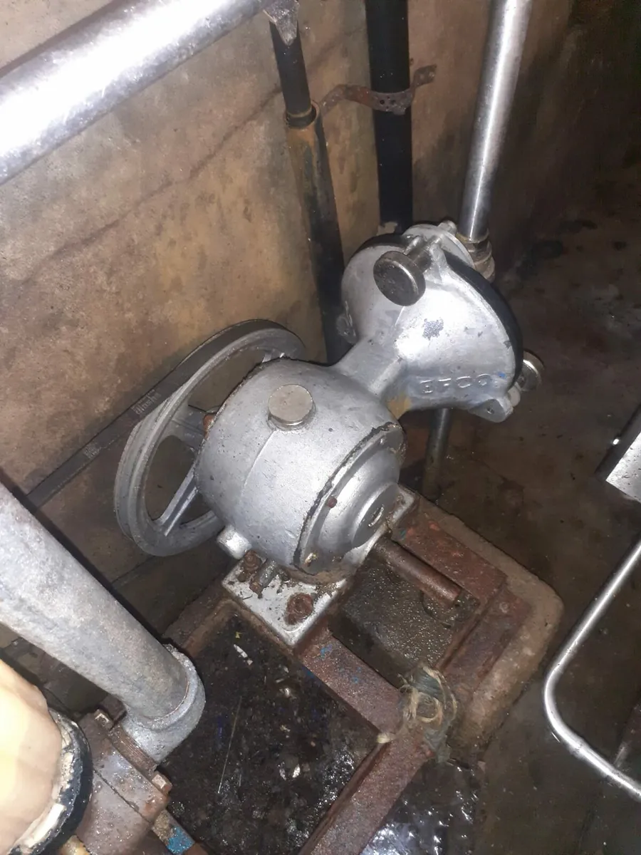 5 unit Milking parlour - Image 3