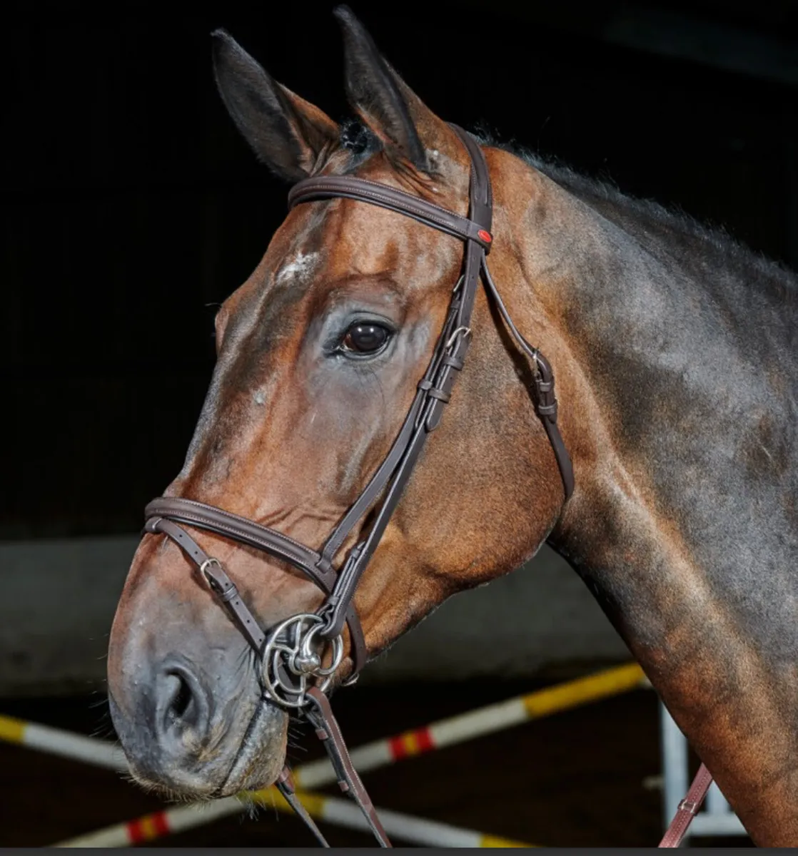 Black John Whitaker Bridle - Image 1