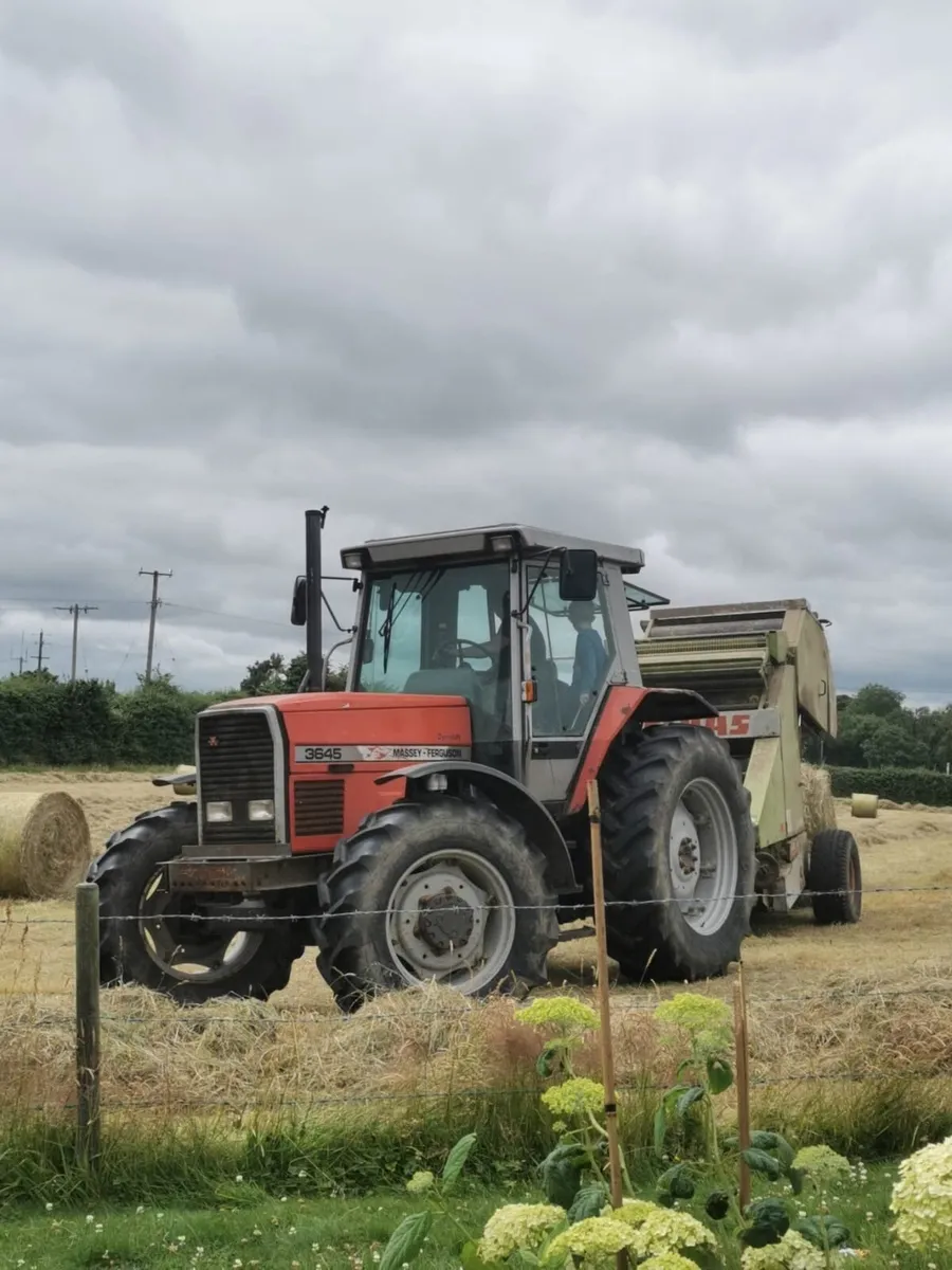 Massey Ferguson 3645 - Image 2