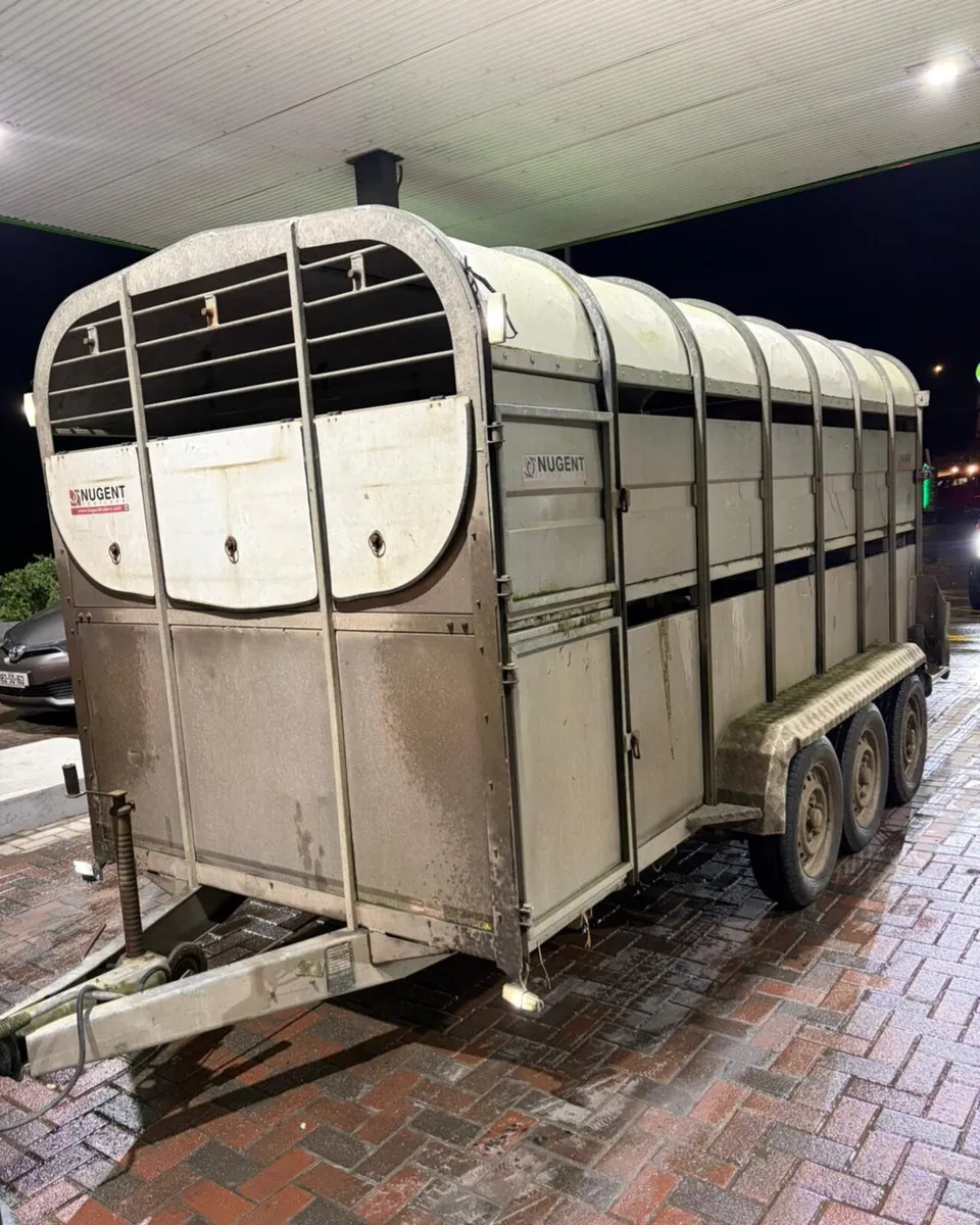 14fNugent cattle trailer for sale - Image 2