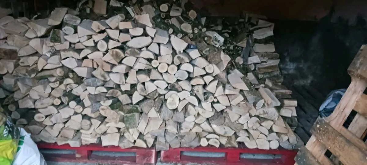 Ash firewood - Image 3