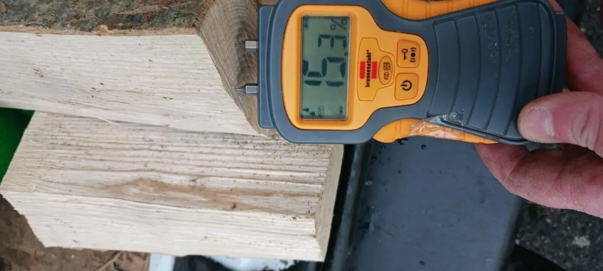 Ash firewood - Image 4