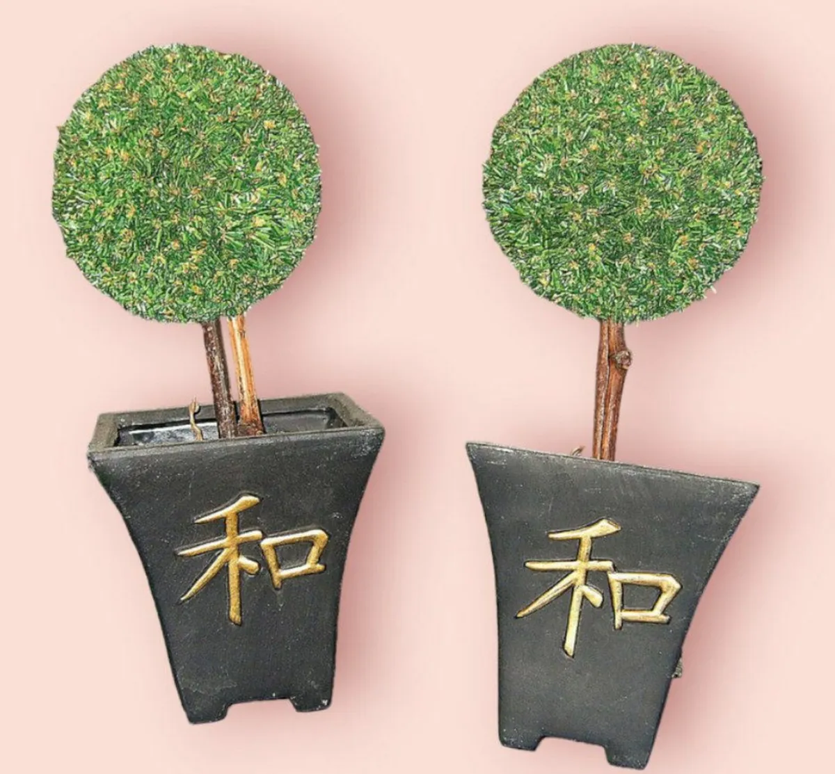 2 X Vintage Topiary Trees in Clay pots - Image 2