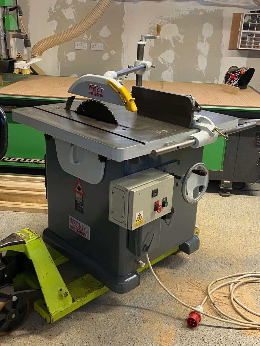 Wadkin 20 inch rip saw - Image 1