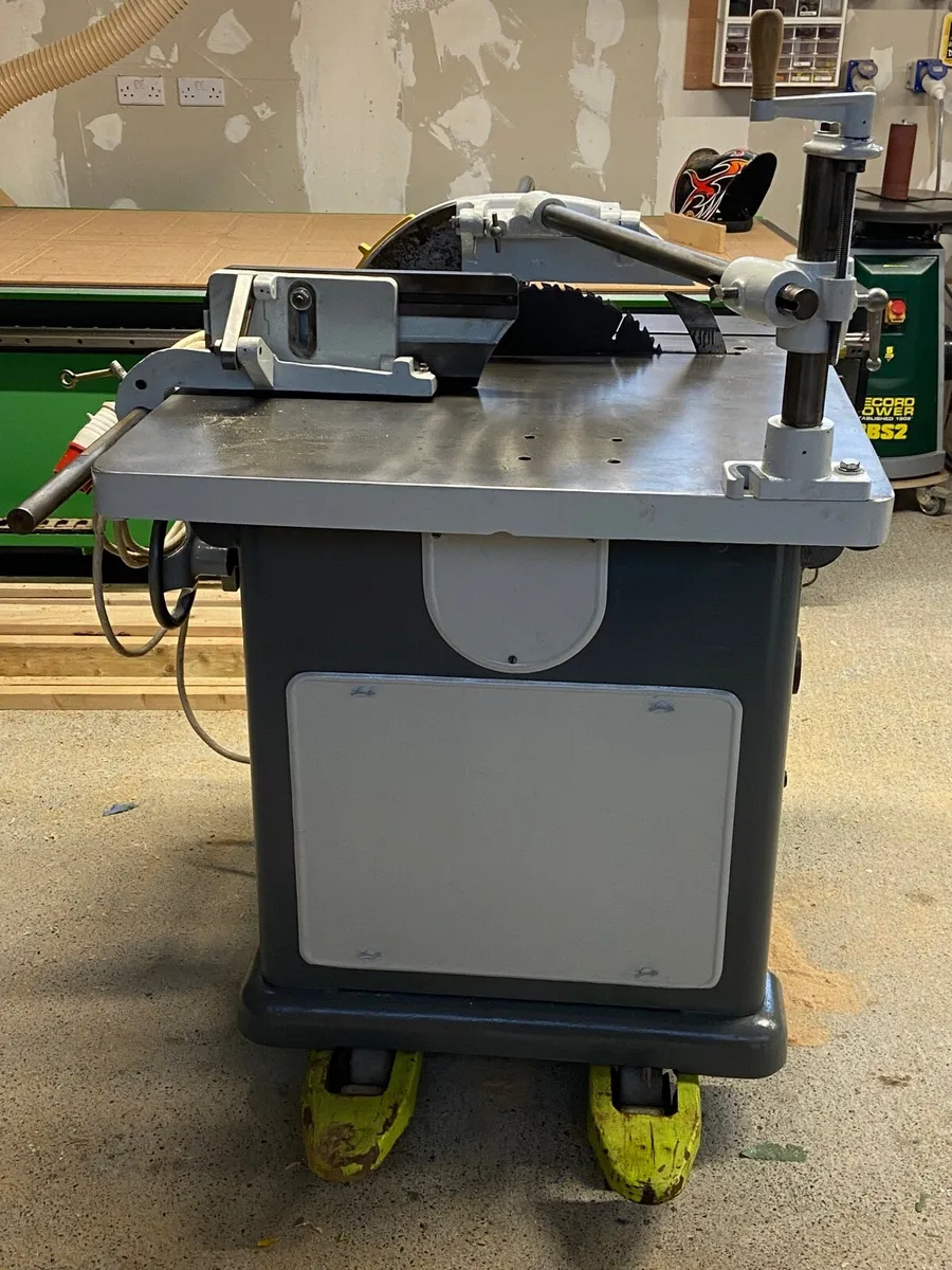 Wadkin 20 inch rip saw - Image 3