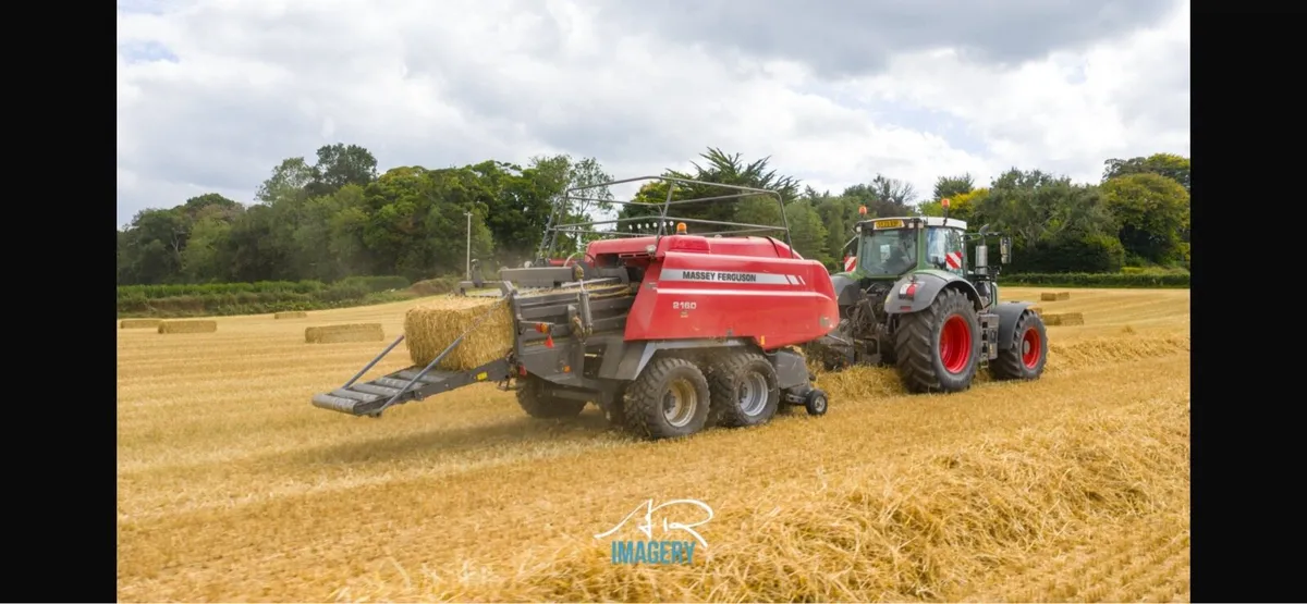 Spring wheat straw - Image 1