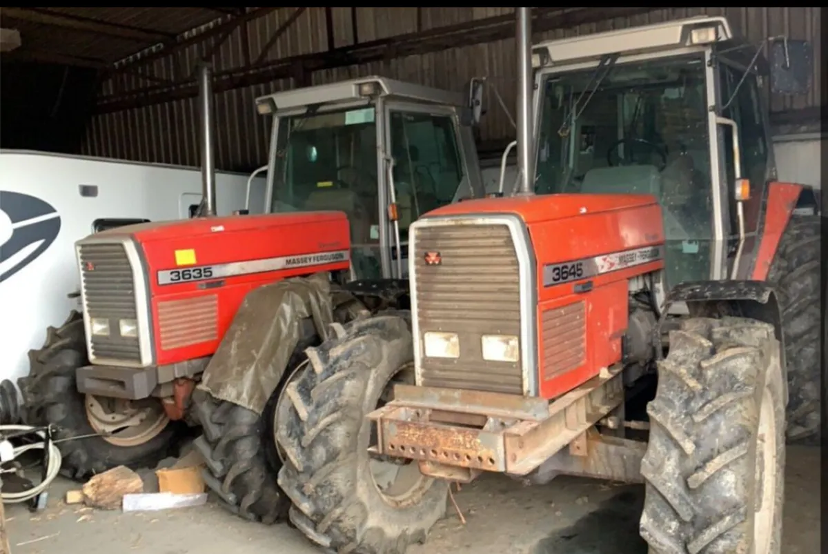 Massey Ferguson 3645 - Image 4