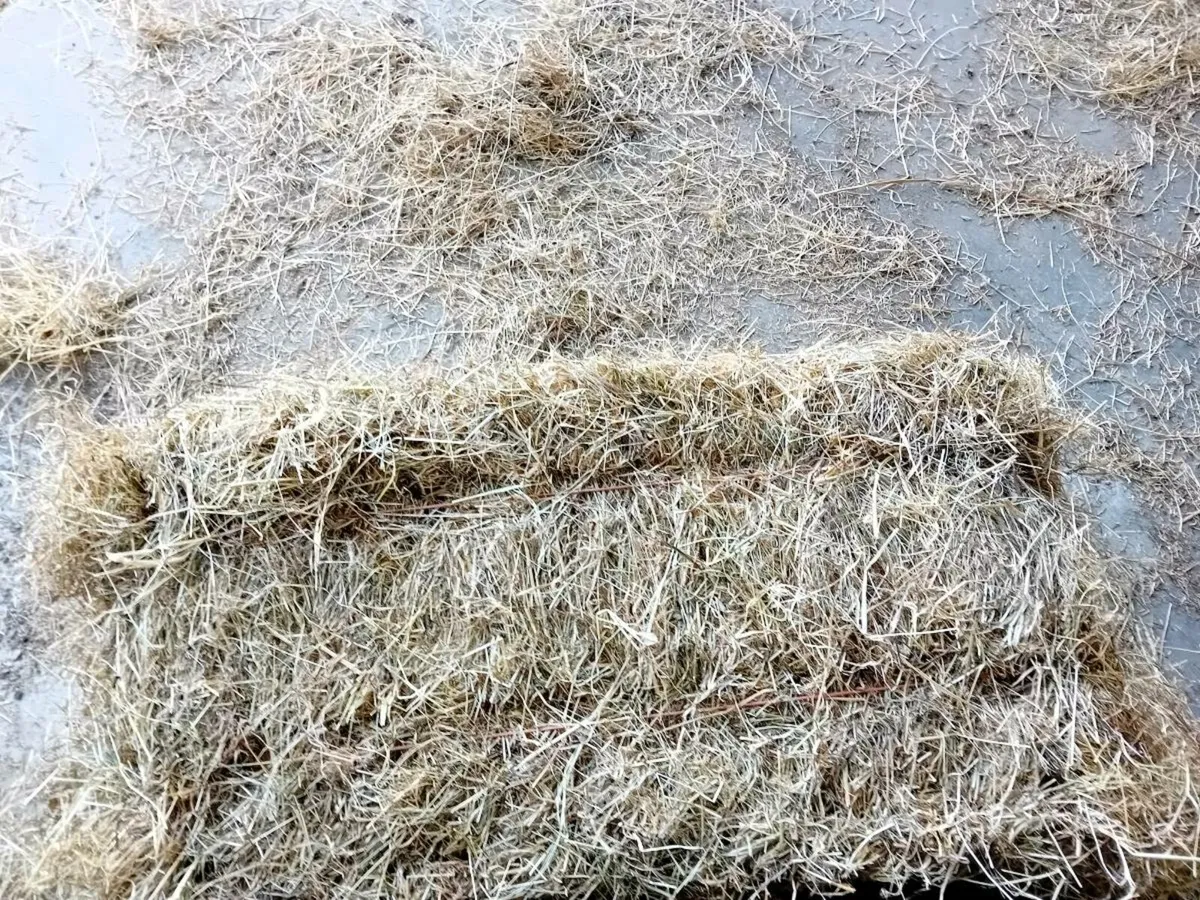 Square bales hay - Image 3
