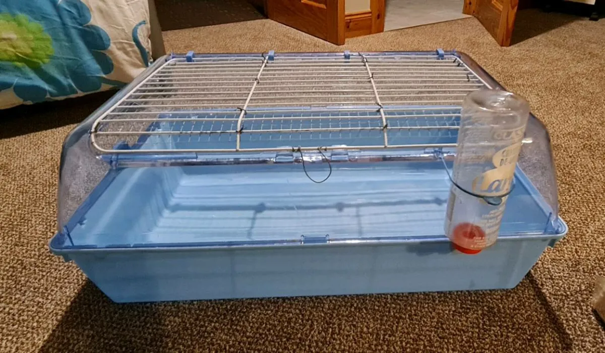 Hamster cage & accessories - Image 2