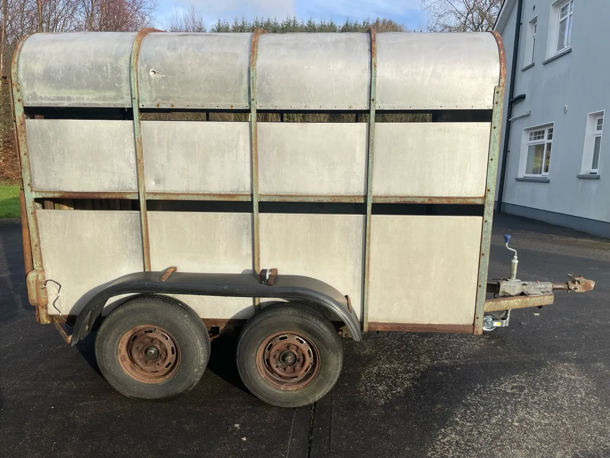 Cattle trailer - Image 3