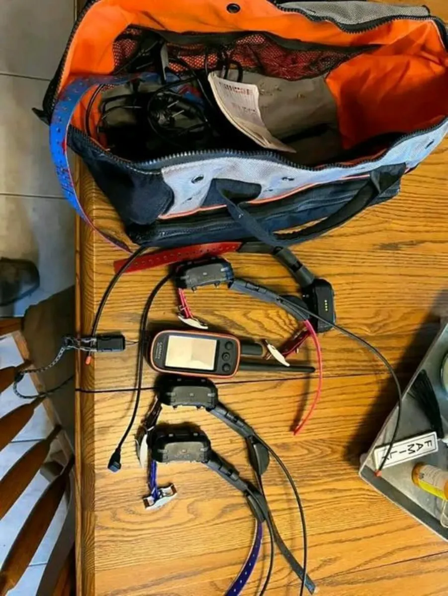 Garmin Alpha 100 and tt15 collar - Image 2