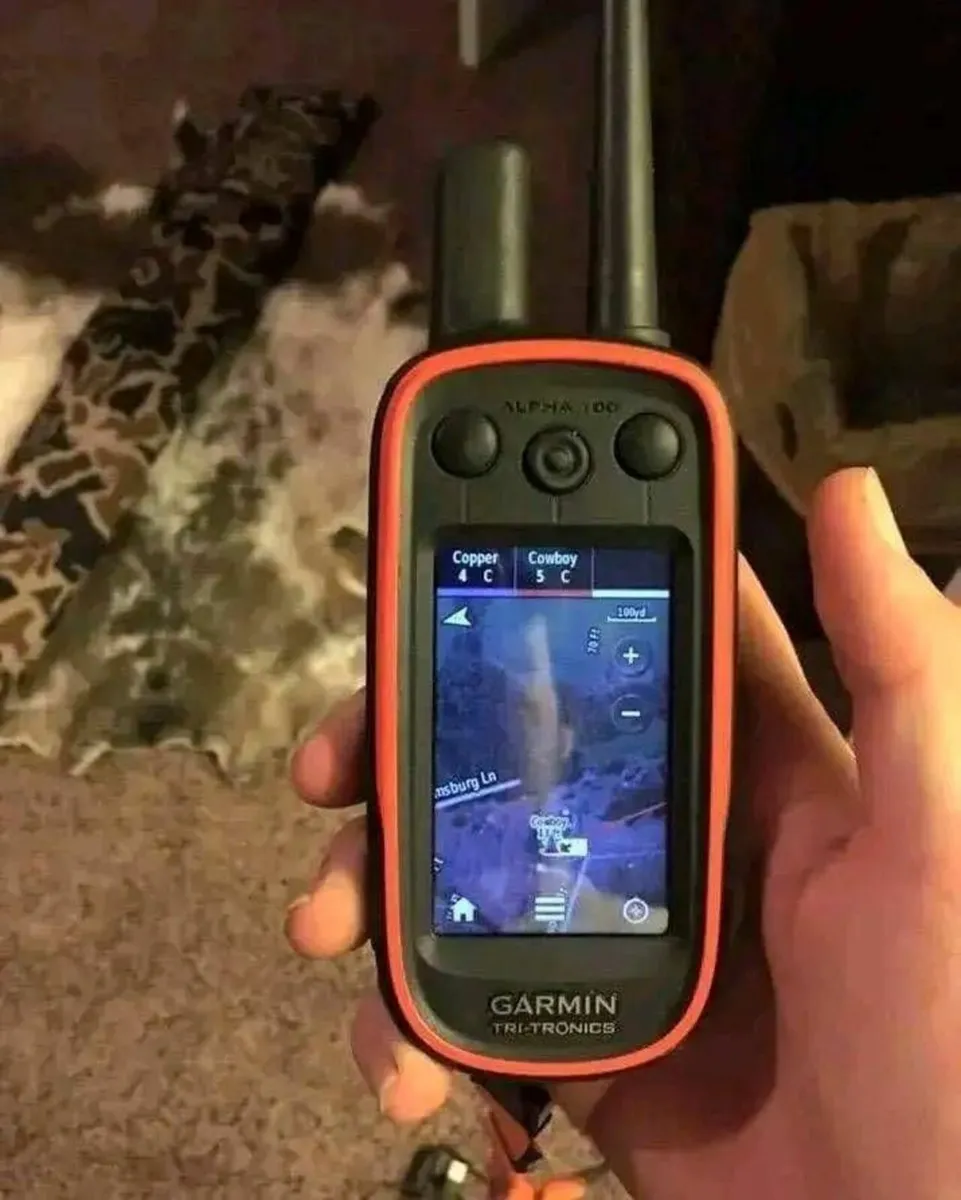 Garmin Alpha 100 and tt15 collar - Image 3