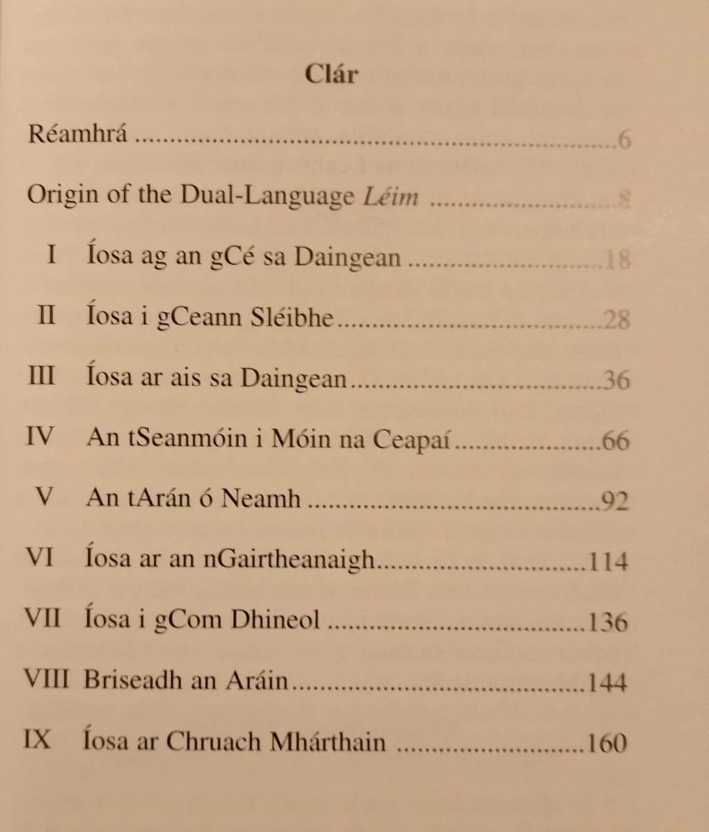 Jesus In Dingle 2005 Book - Image 2