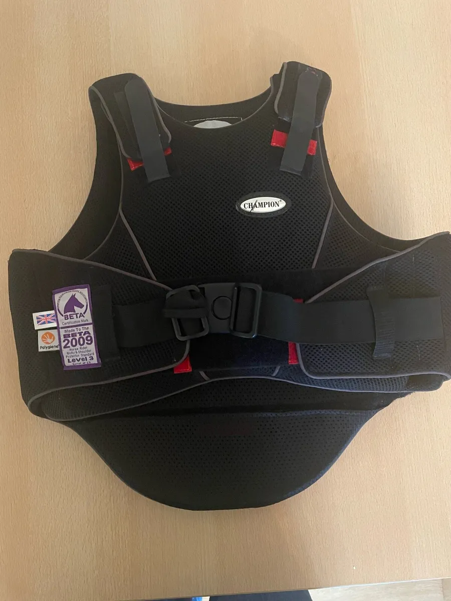 Child’s horse riding back support - Image 1