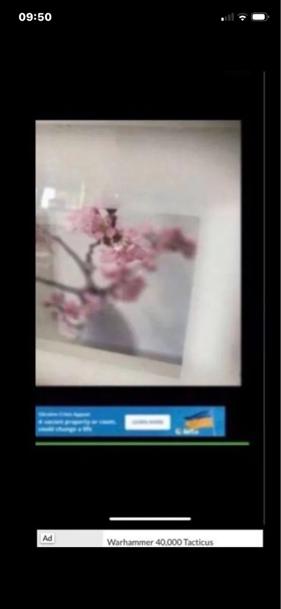 Framed Floral prints - Image 4