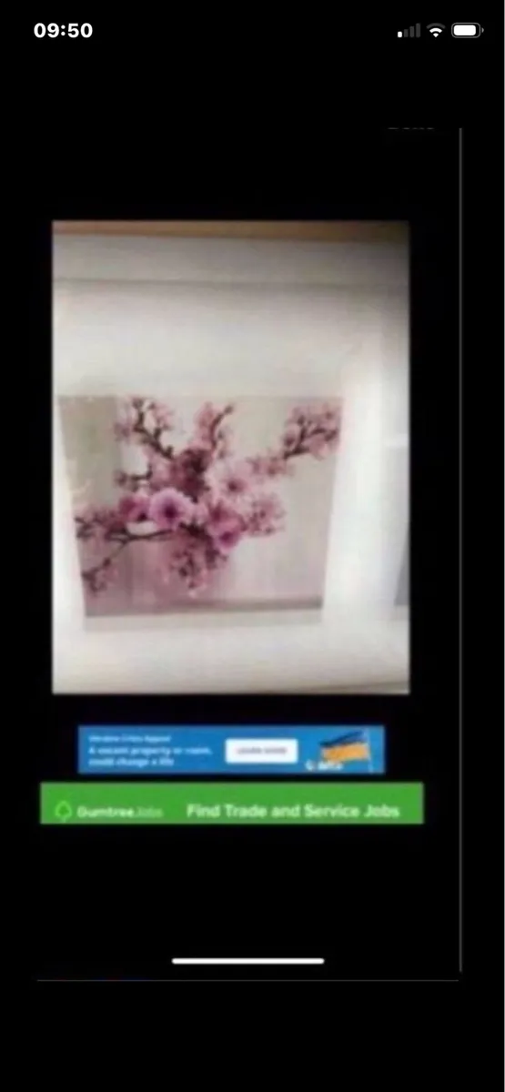 Framed Floral prints - Image 2