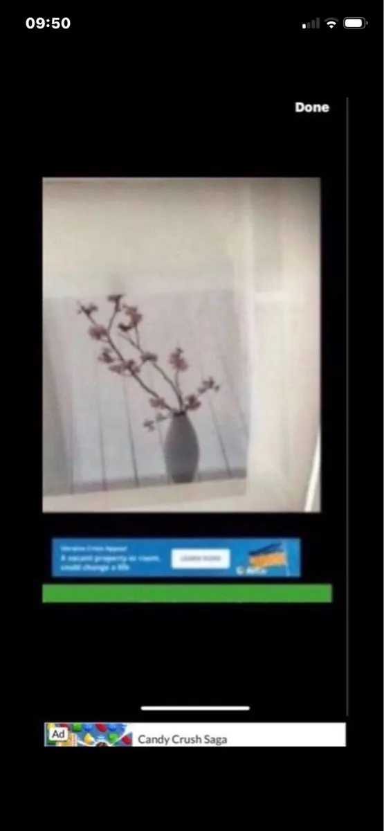 Framed Floral prints - Image 3