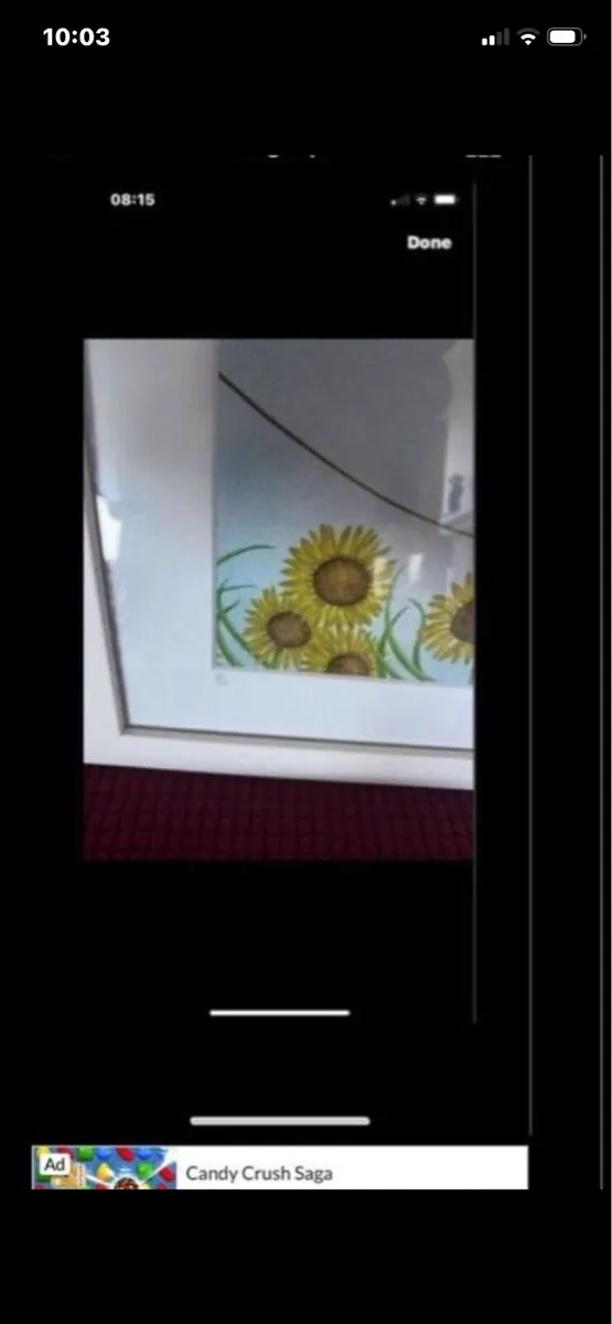 Nicola Chestnutt Limited Editions (3) - Image 3