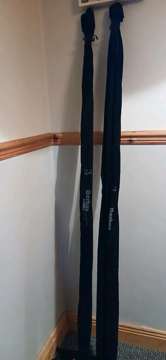 2 barbus 12ft twin tops rods - Image 1