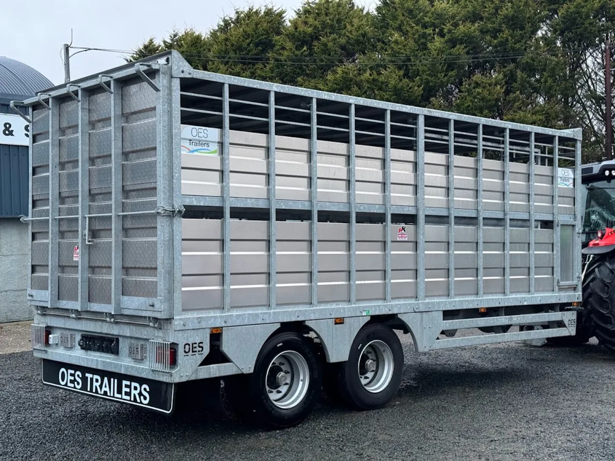 NEW OES 20ft Livestock Trailer - Image 4