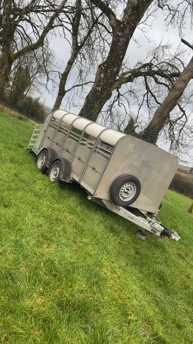 Sheep trailer - Image 2