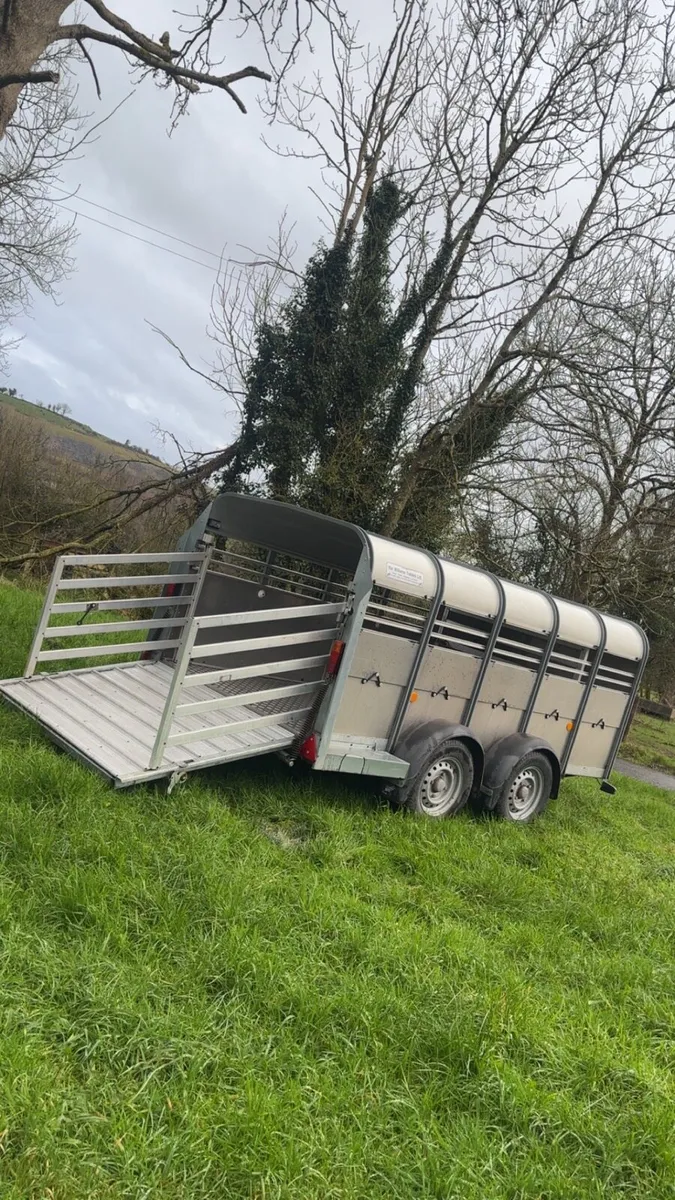 Sheep trailer - Image 4