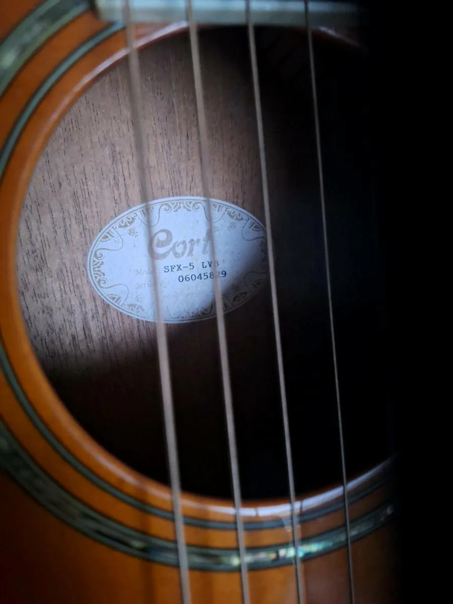 Aria, Cort and Walden guitars for sale - Image 4