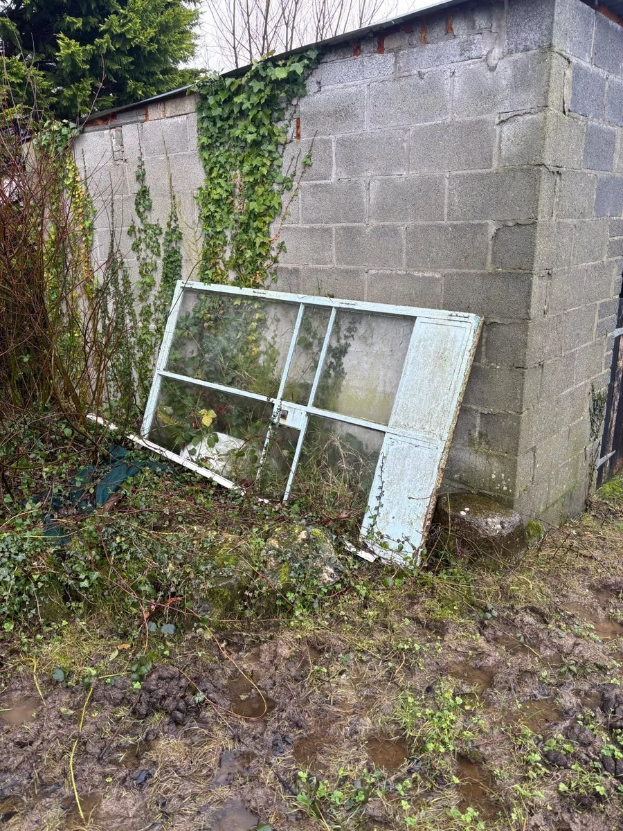 Crittal steel doors - Image 1