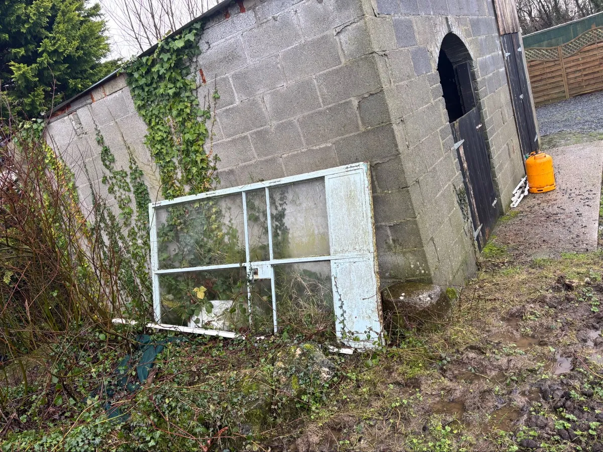 Crittal steel doors - Image 2