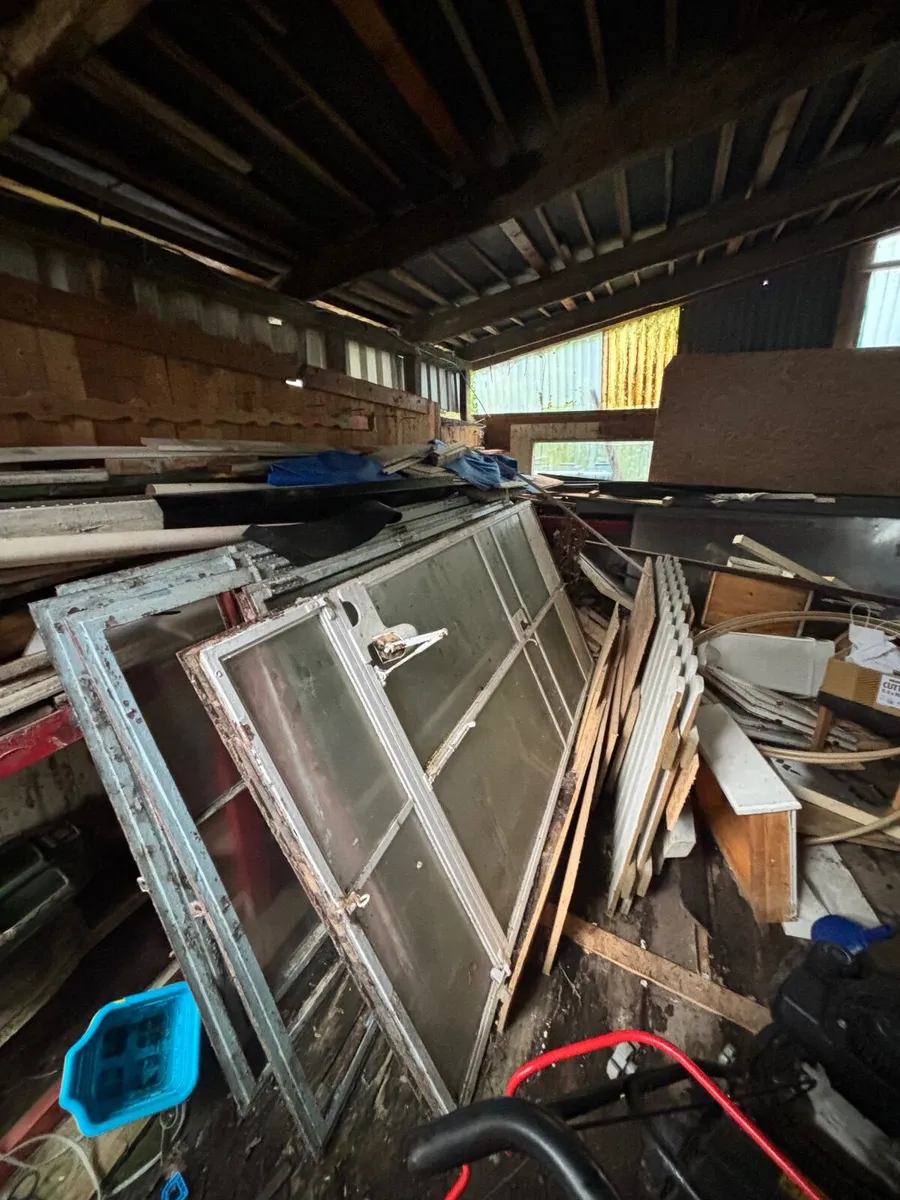 Crittal steel doors - Image 3