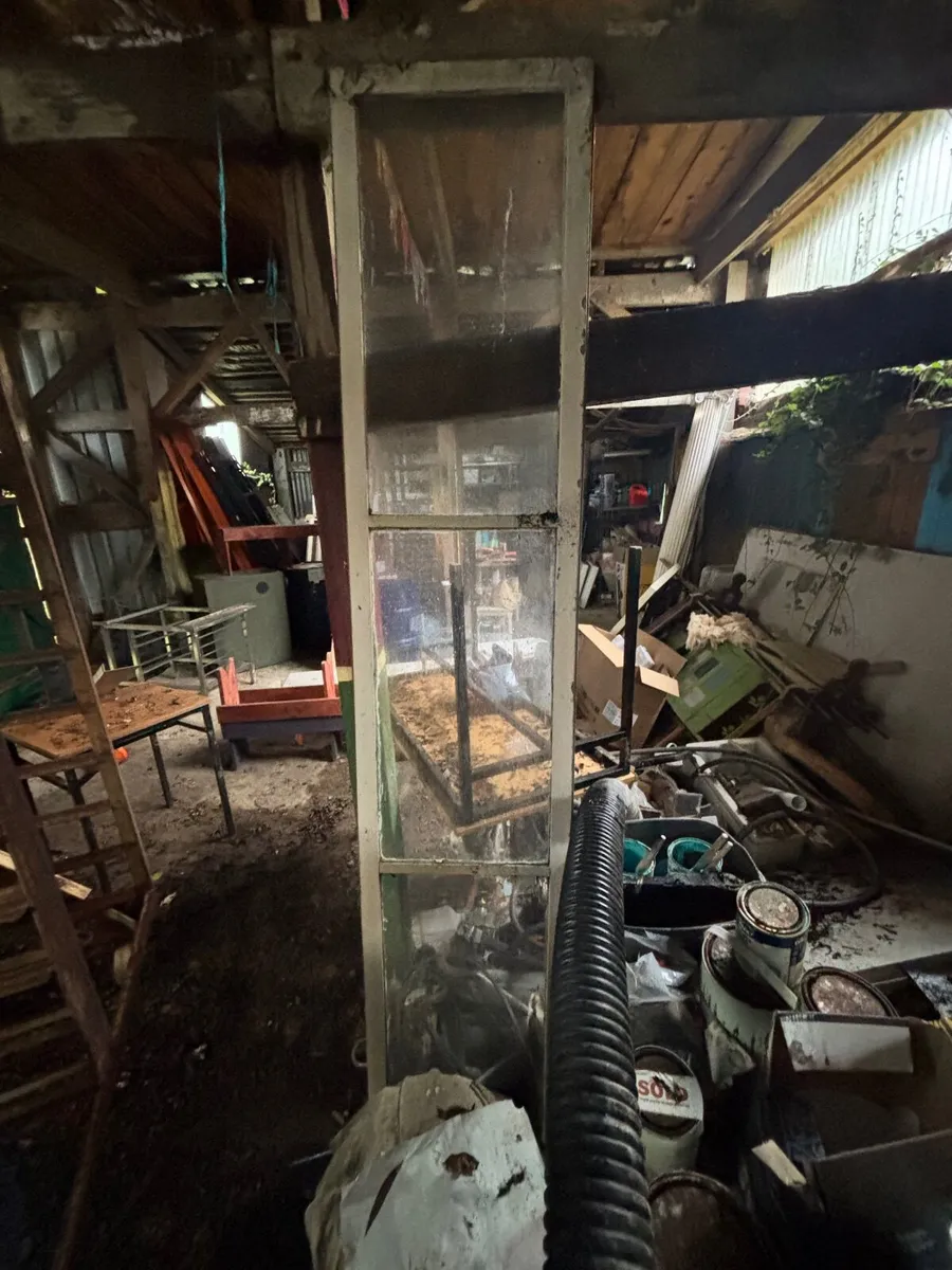 Crittal steel doors - Image 4