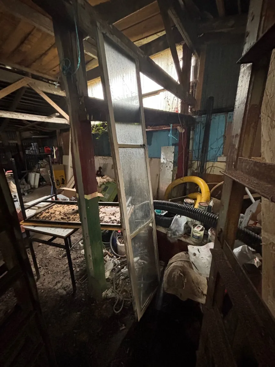 Crittal steel doors - Image 4