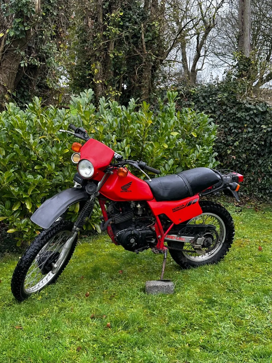 Road registered Honda xl250r 1983 - Image 3