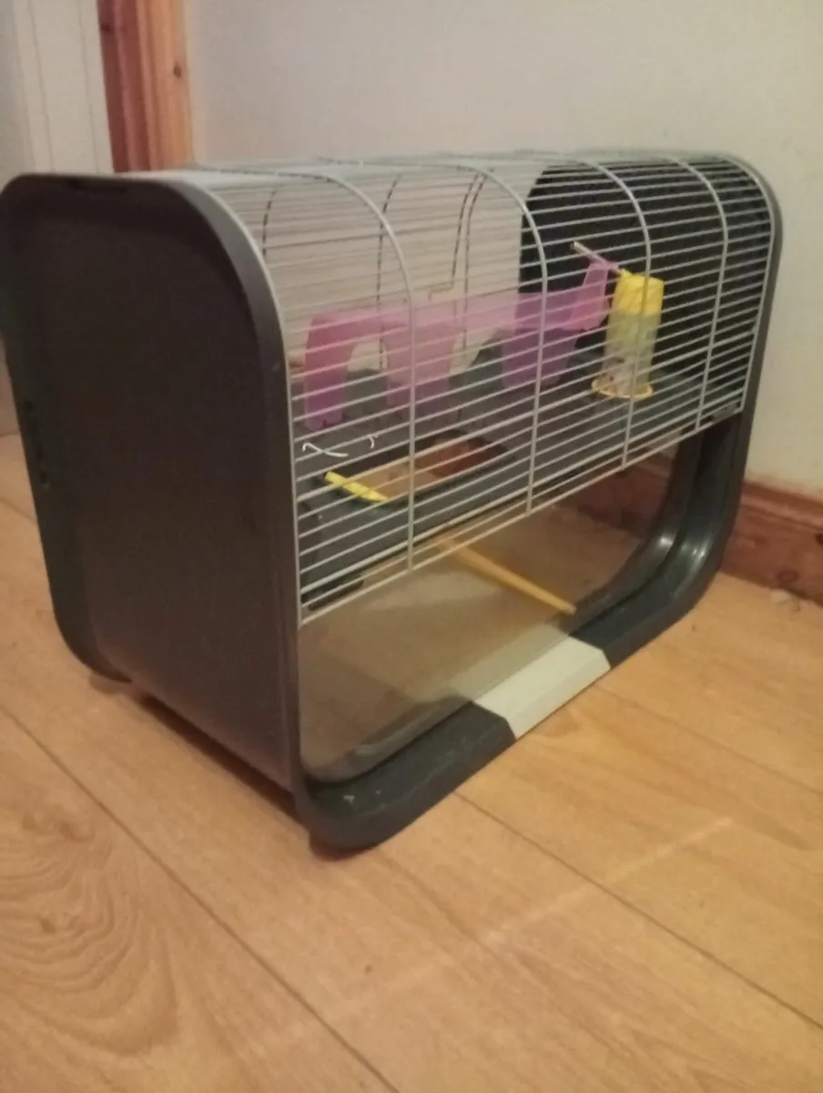 Luxury Geneva Hamster Guinea Pig full set - Image 3