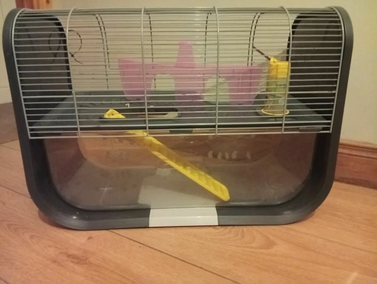 Luxury Geneva Hamster Guinea Pig full set - Image 4