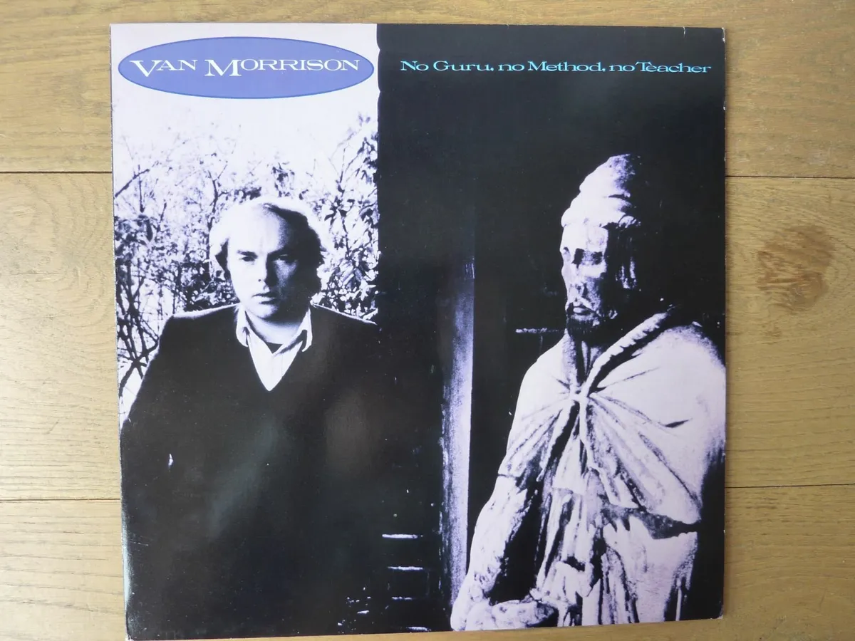 Van Morrison LP collection (vinyls) - Image 1