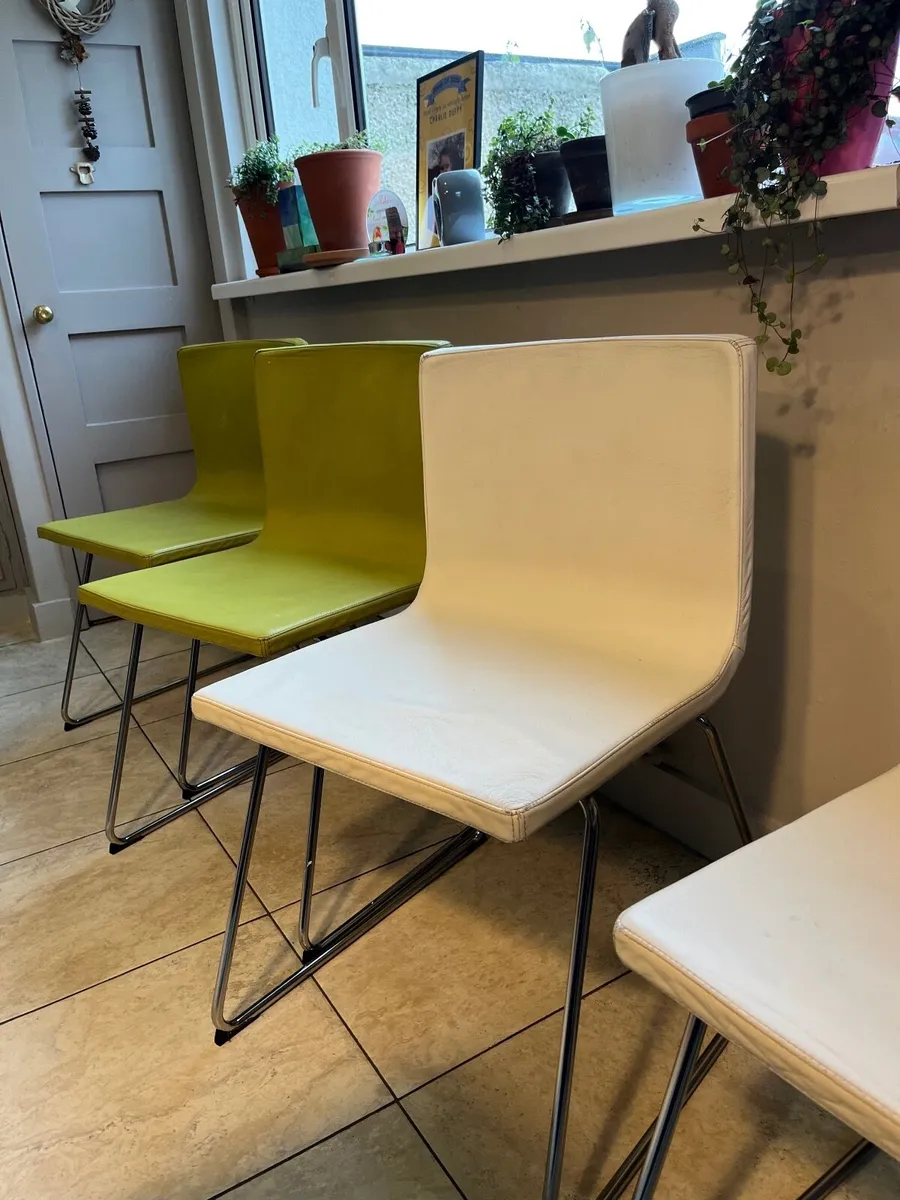Kitchen/ dining Chairs - Image 3