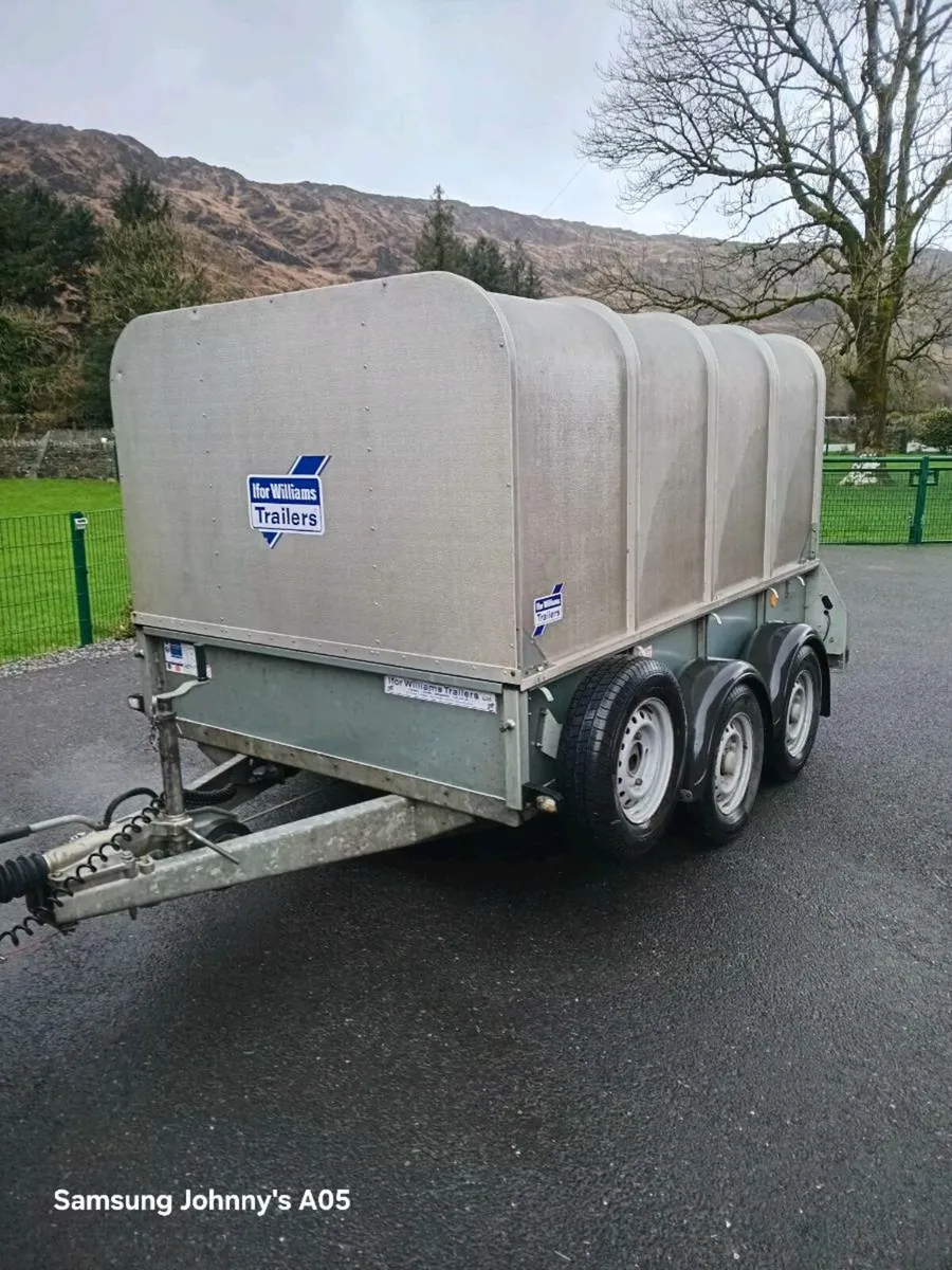 Sheep trailer - Image 3