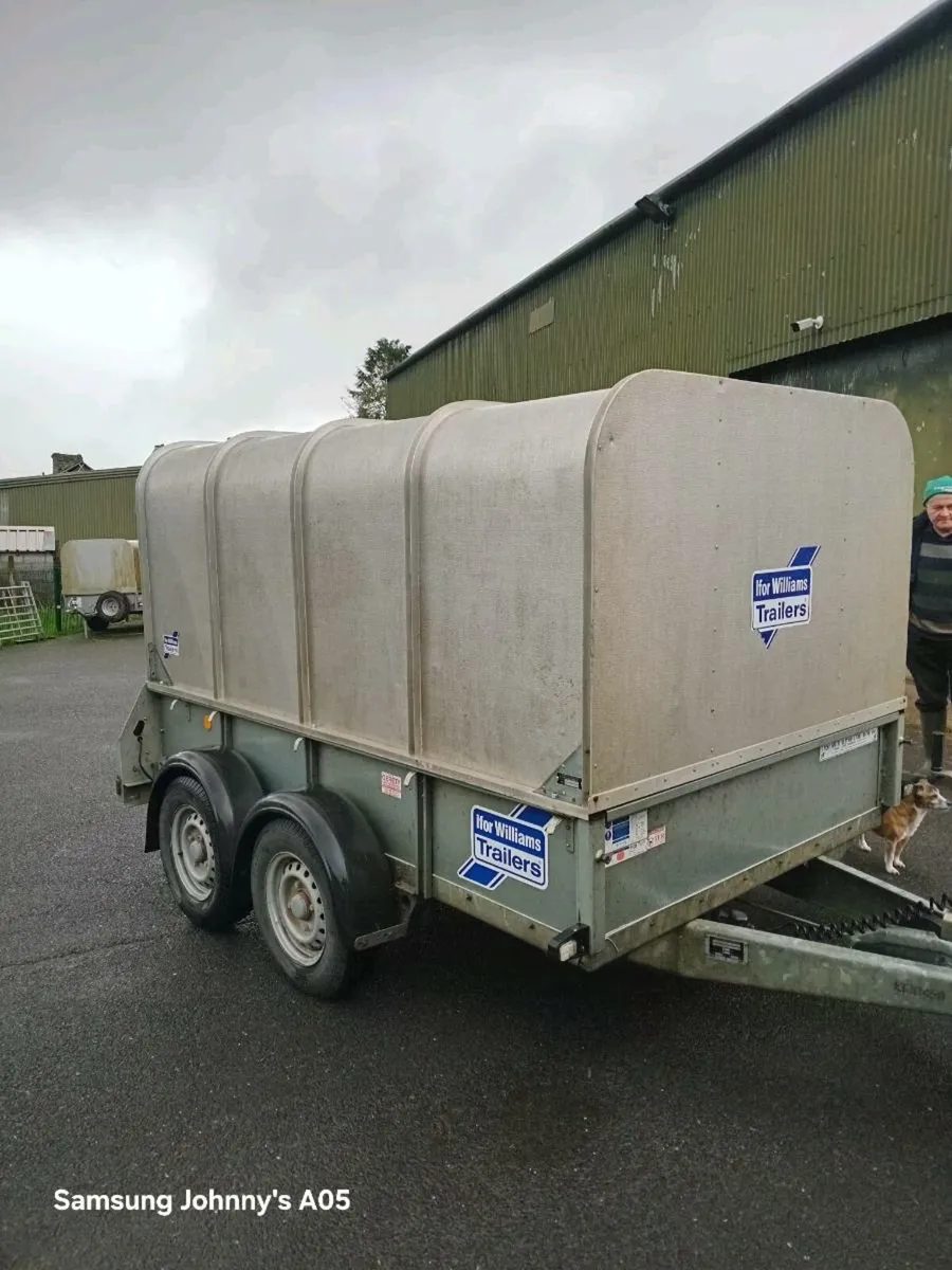 Sheep trailer - Image 1