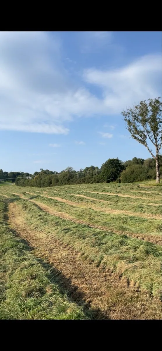 Round Bales - Image 2