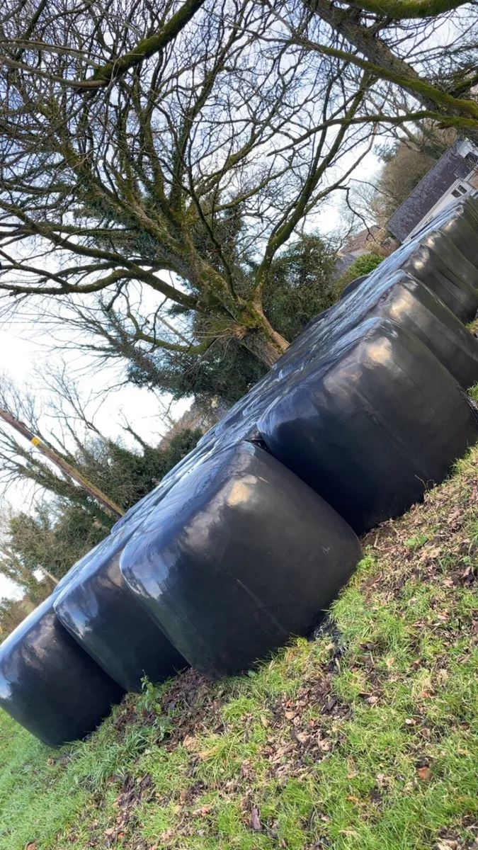 Round Bales - Image 1