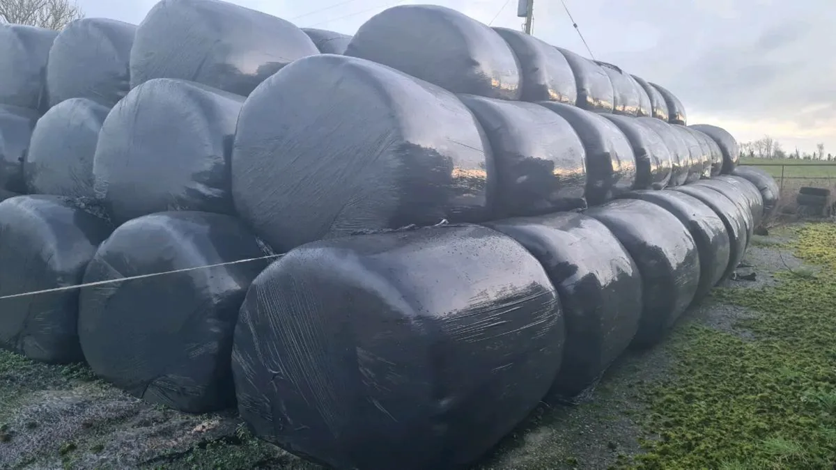 Silage Bales - Image 1