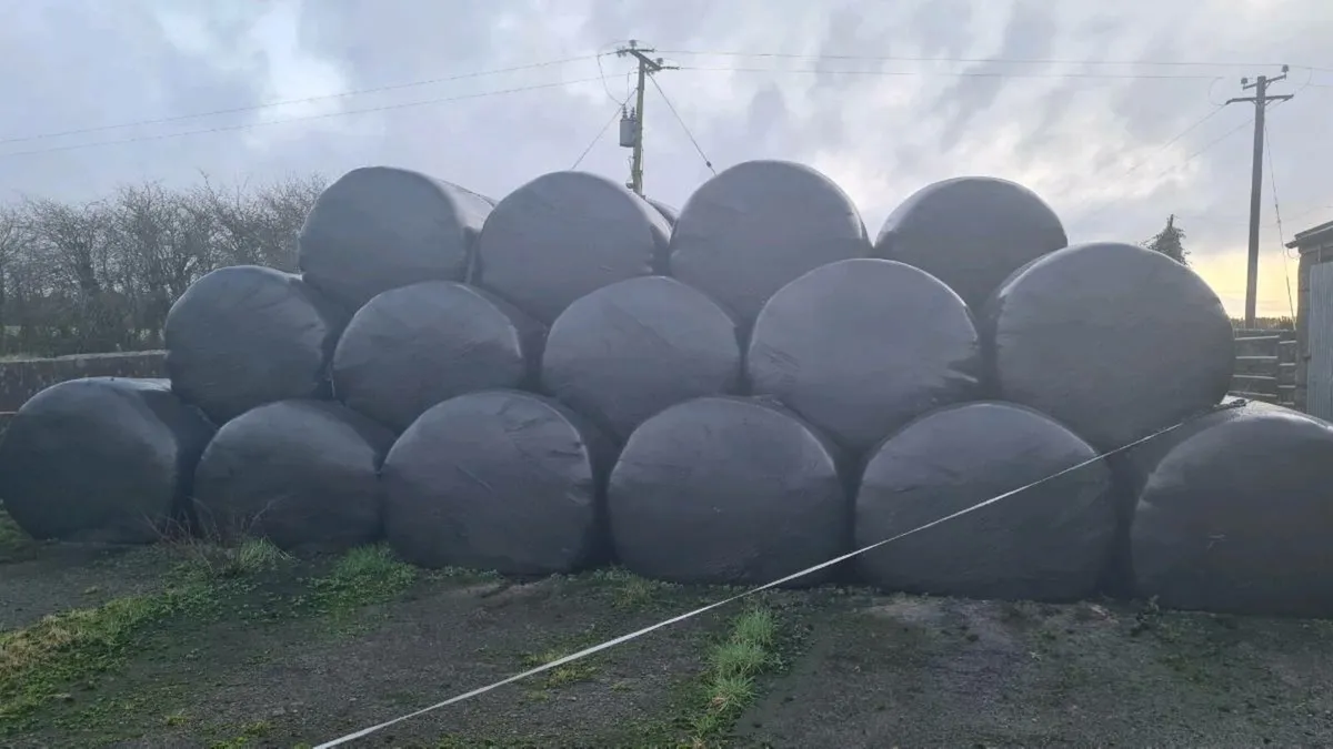 Silage Bales - Image 2